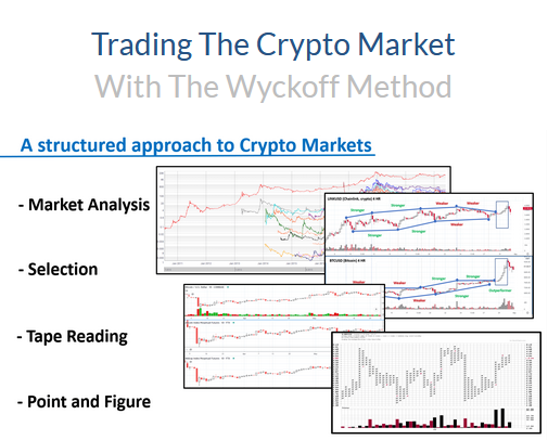 Download Trading the Crypto Market with the Wyckoff Method