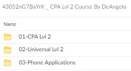 DeAngelo – CPA Lvl 2 Course Download Proof