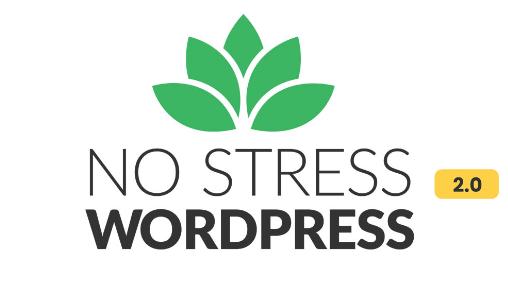 Dave Foy – No Stress WordPress 2.0