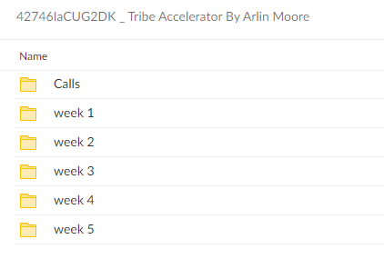 Arlin Moore – Tribe Accelerator Download Proof