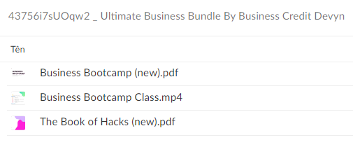 Business Credit Devyn – Ultimate Business Bundle Download Proof