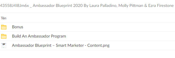 Laura Palladino, Molly Pittman & Ezra Firestone – Ambassador Blueprint 2020 Download Proof