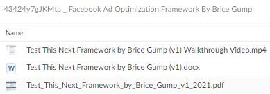 Brice Gump – Facebook Ad Optimization Framework Download Proof