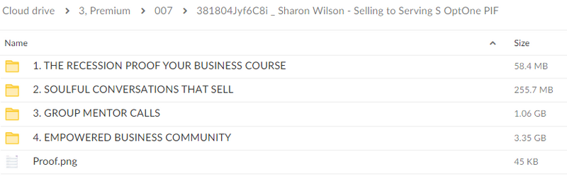 Sharon Wilson – Selling to Serving S OptOne PIF Download Proof