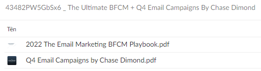 Chase Dimond – The Ultimate BFCM Email Marketing Playbook + Q4 Email Campaigns Download Proof