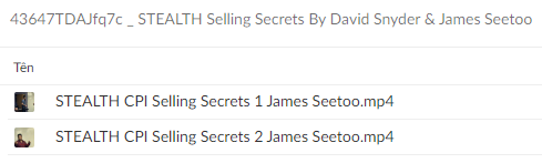David Snyder & James Seetoo – STEALTH Selling Secrets Download Proof