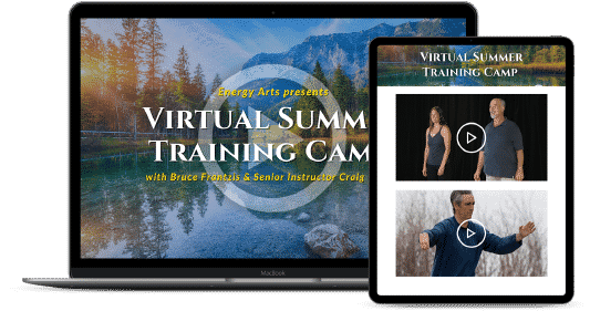 Bruce Frantzis - Energy Arts – 2023 Summer Virtual Training Camp: Meditation in Tai Chi and Qigong