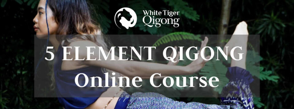 White Tiger Qigong – 5 Element Qigong Online Course 2023