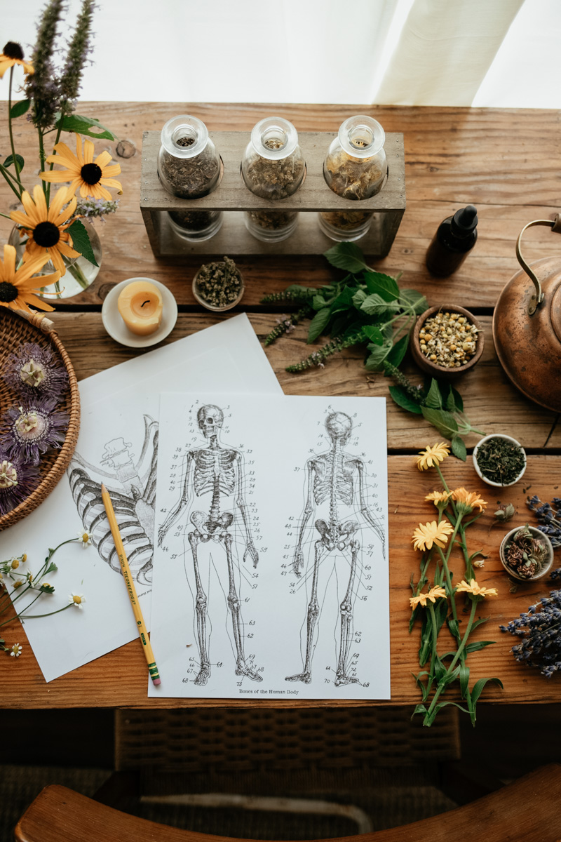 THE HERBAL ACADEMY – Advanced Herbal Course