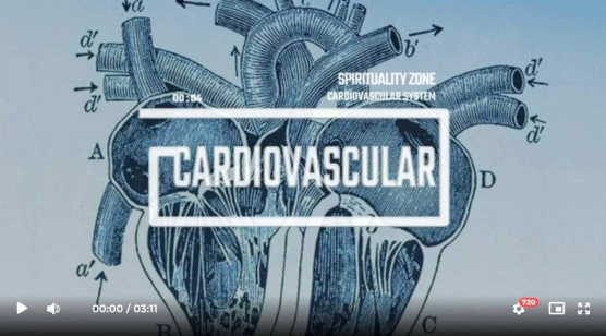 Spirituality Zone – Cardiovascular System (Advanced Version)