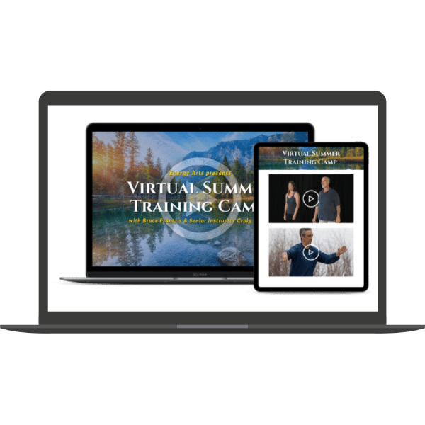 2023 Summer Virtual Training Camp: Meditation in Tai Chi and Qigong By Bruce Frantzis - Energy Arts