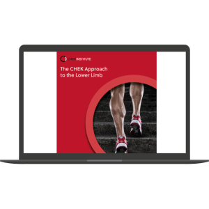 The CHEK Approach to the Lower Limb By Matthew Wallden