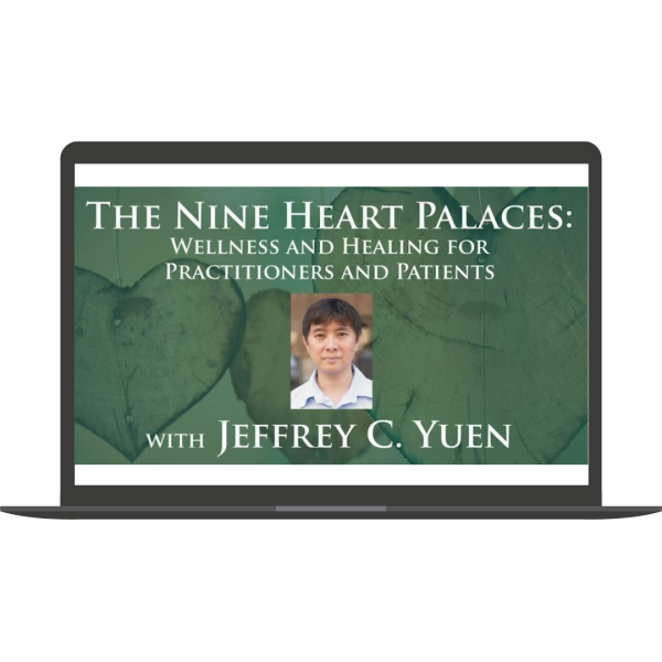 The Nine Heart Palaces Wellness and Healing for Practitioners and Patients By JEFFREY YUEN