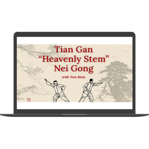 Tian Gan Nei Gong Online Learning Program By Tom Bisio & Valerie Ghent