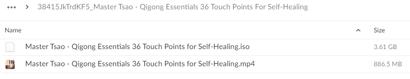 Master Tsao – Qigong Essentials 36 Touch Points For Self-Healing Download Proof