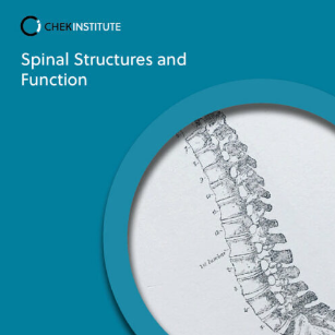 CHEK Institute – Spinal Structures & Function