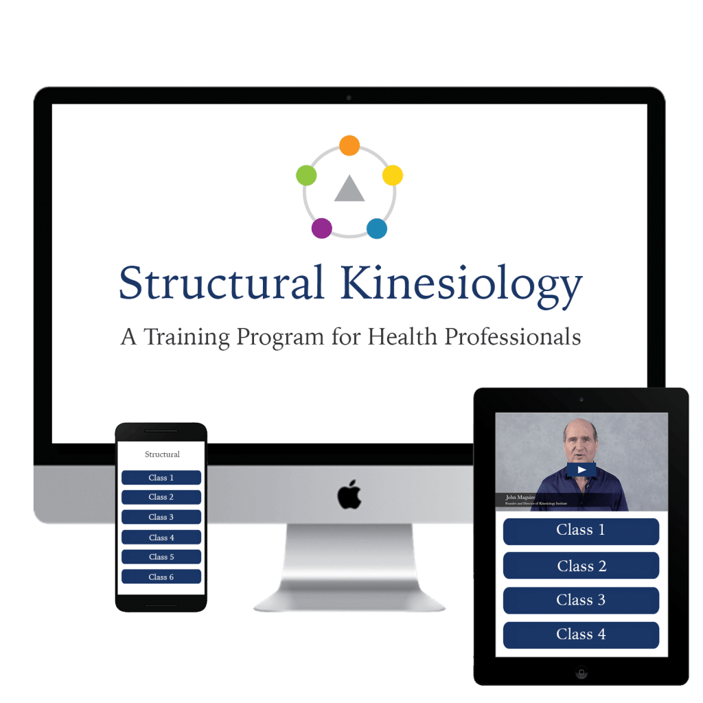 John Maguire – Structural Kinesiology Course Online