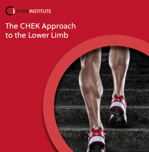 Matthew Wallden – The CHEK Approach to the Lower Limb