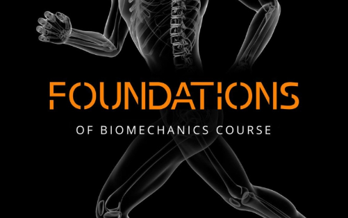 Alex Effer - Resilient Edu – The Foundations of Biomechanics Course