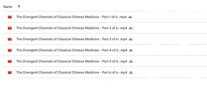 Jeffrey Yuen - ACCM – The Divergent Channels of Classical Acupuncture Download Proof