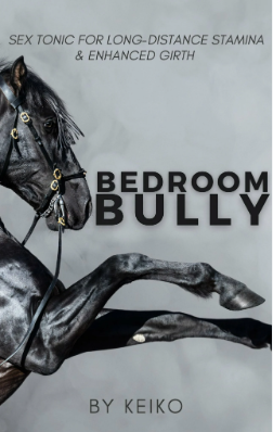 Keiko – BEDROOM BULLY TONIC