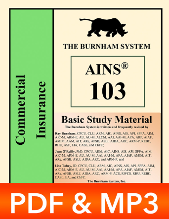 The Burnham System – AINS 103 - Digital & Audio Book