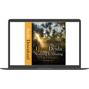 Nothing is Missing by David Deida