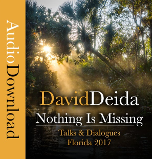 David Deida – Nothing is Missing