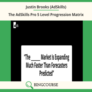 Justin Brooks (AdSkills) – The AdSkills Pro 5 Level Progression Matrix