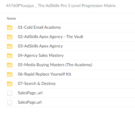 Justin Brooks (AdSkills) – The AdSkills Pro 5 Level Progression Matrix Proof