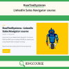 BowTiedSystems – LinkedIn Sales Navigator course