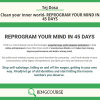 Tej Dosa – Clean your inner world- REPROGRAM YOUR MIND IN 45 DAYS